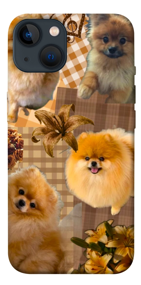 Чехол Spitz aethtetic для iPhone 13