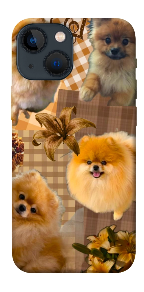 Чехол Spitz aethtetic для iPhone 13 mini
