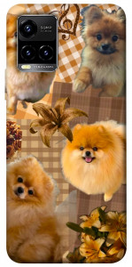 Чохол Spitz aethtetic для Vivo Y33s