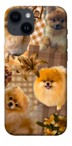 Чехол Spitz aethtetic для iPhone 14