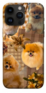 Чехол Spitz aethtetic для iPhone 14 Pro Max