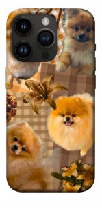 Чехол Spitz aethtetic для iPhone 14 Pro