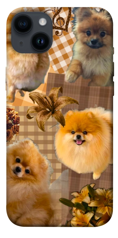Чехол Spitz aethtetic для iPhone 14 Plus