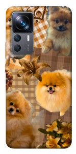 Чохол Spitz aethtetic для Xiaomi 12T