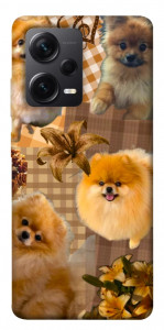 Чехол Spitz aethtetic для Xiaomi Redmi Note 12 Pro+