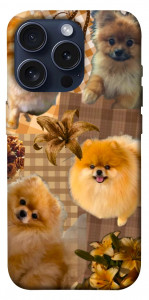Чехол Spitz aethtetic для iPhone 15 Pro