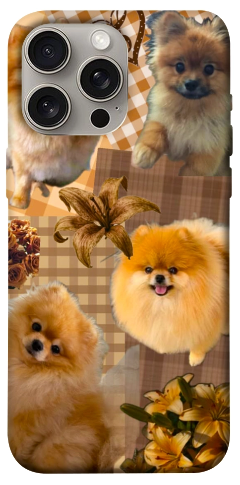 Чехол Spitz aethtetic для iPhone 15 Pro Max