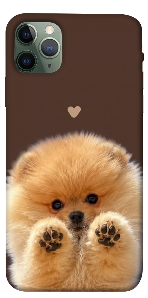 Чохол Spitz on the screen для iPhone 11 Pro Max