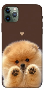 Чехол Spitz on the screen для iPhone 11 Pro Max