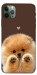 Чохол Spitz on the screen для iPhone 11 Pro Max