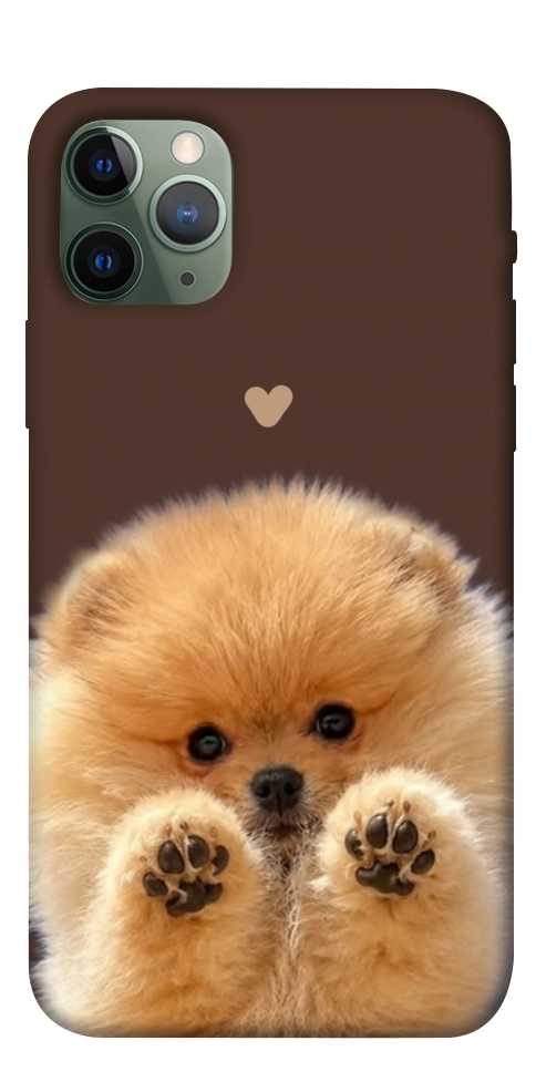 Чохол Spitz on the screen для iPhone 11 Pro