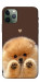 Чохол Spitz on the screen для iPhone 11 Pro