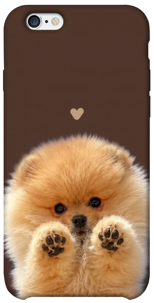 Чехол Spitz on the screen для iPhone 6