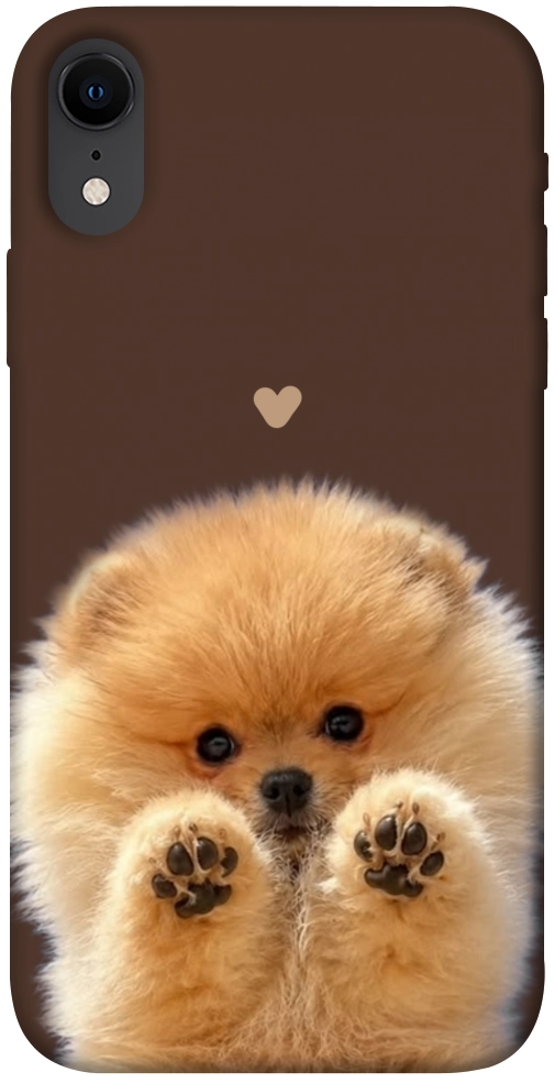 Чехол Spitz on the screen для iPhone XR