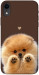 Чехол Spitz on the screen для iPhone XR