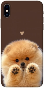 Чохол Spitz on the screen для iPhone X