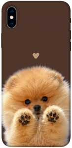 Чехол Spitz on the screen для iPhone XS Max