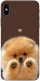 Чехол Spitz on the screen для iPhone XS Max