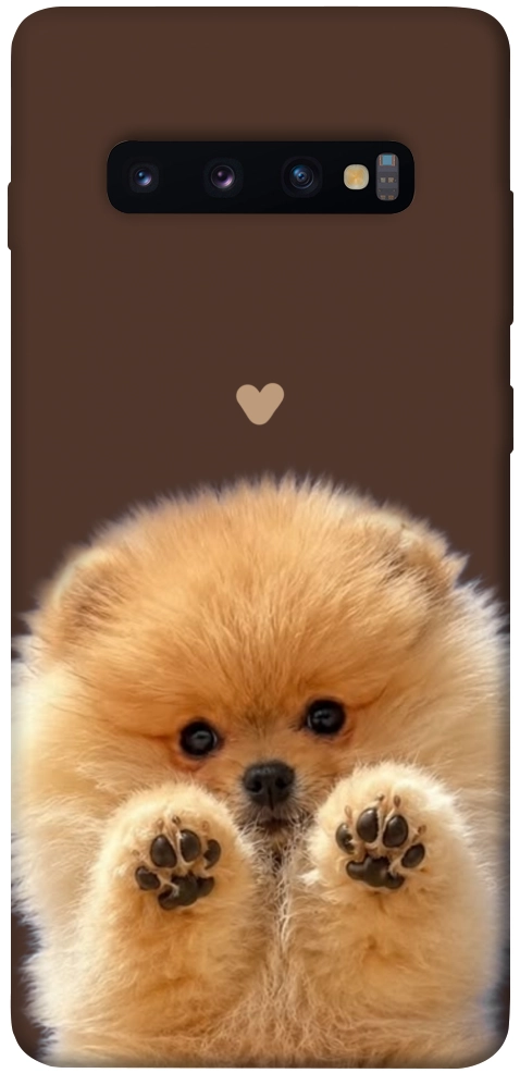 Чохол Spitz on the screen для Galaxy S10 Plus (2019)