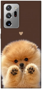Чехол Spitz on the screen для Galaxy Note 20 Ultra
