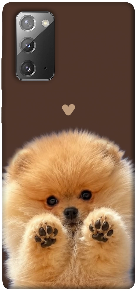 Чохол Spitz on the screen для Galaxy Note 20