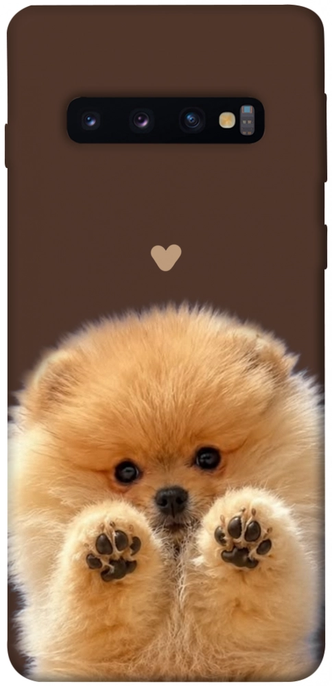 Чохол Spitz on the screen для Galaxy S10 (2019)