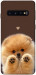 Чохол Spitz on the screen для Galaxy S10 (2019)