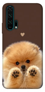 Чехол Spitz on the screen для Huawei Honor 20 Pro