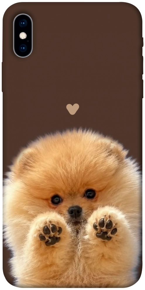 Чохол Spitz on the screen для iPhone XS