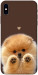 Чохол Spitz on the screen для iPhone XS