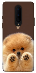 Чохол Spitz on the screen для OnePlus 8
