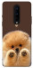 Чехол Spitz on the screen для OnePlus 8