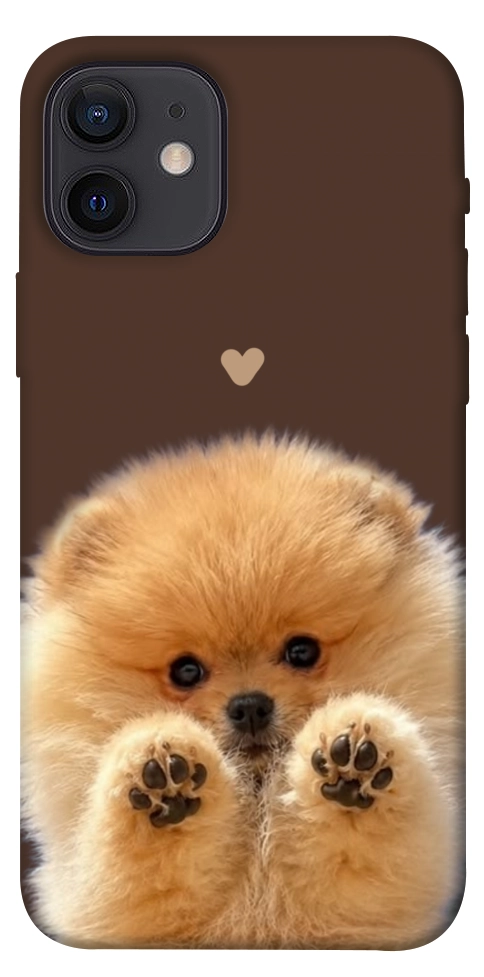 Чехол Spitz on the screen для iPhone 12