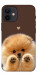 Чехол Spitz on the screen для iPhone 12 mini