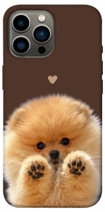 Чохол Spitz on the screen для iPhone 12 Pro Max