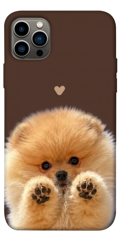 Чехол Spitz on the screen для iPhone 12 Pro