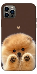 Чехол Spitz on the screen для iPhone 12 Pro