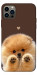 Чехол Spitz on the screen для iPhone 12 Pro