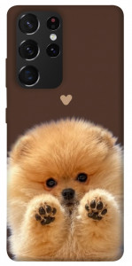 Чехол Spitz on the screen для Galaxy S21 Ultra