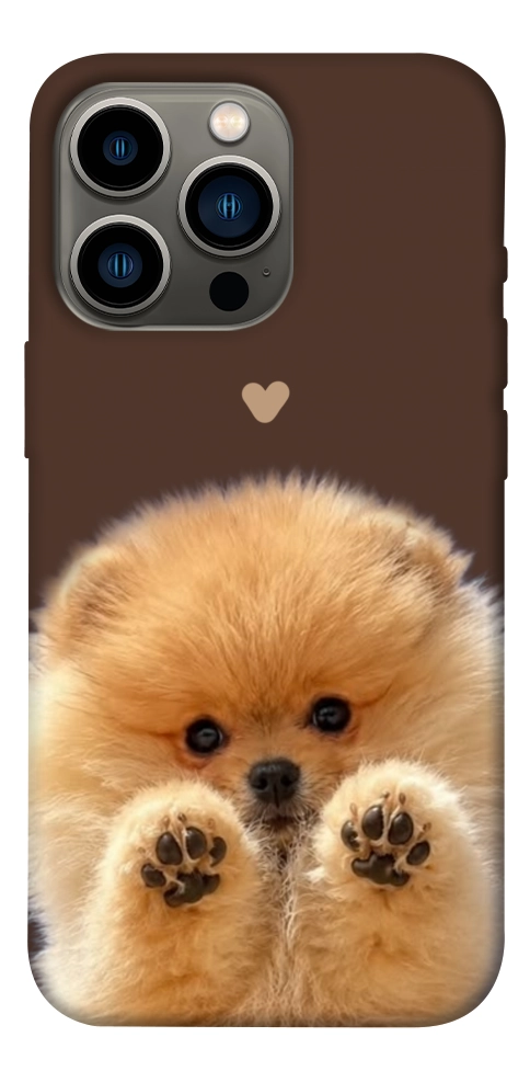 Чехол Spitz on the screen для iPhone 13 Pro
