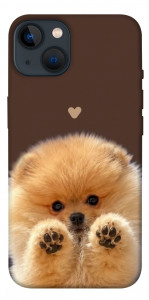 Чехол Spitz on the screen для iPhone 13