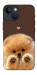 Чохол Spitz on the screen для iPhone 13 mini