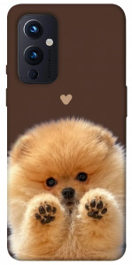 Чехол Spitz on the screen для OnePlus 9