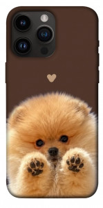 Чехол Spitz on the screen для iPhone 14 Pro Max