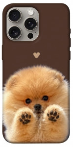 Чехол Spitz on the screen для iPhone 15 Pro Max