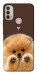 Чохол Spitz on the screen для Motorola Moto E30