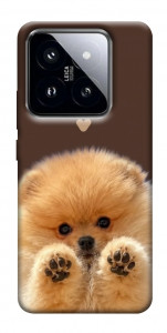 Чохол Spitz on the screen для Xiaomi 14 Pro