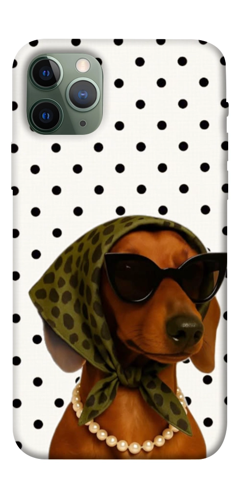 Чохол Swag для iPhone 11 Pro