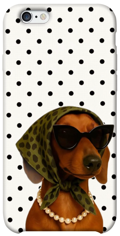 Чехол Swag для iPhone 6
