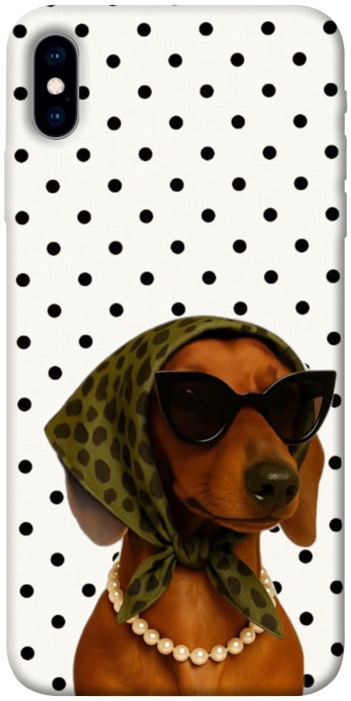 Чехол Swag для iPhone XS